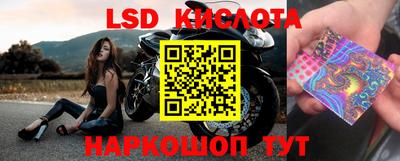 a pvp Бийск