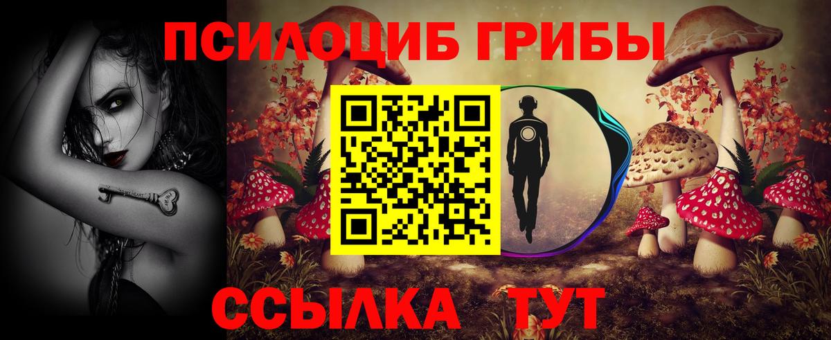 Псилоцибиновые грибы MAGIC MUSHROOMS Дивногорск