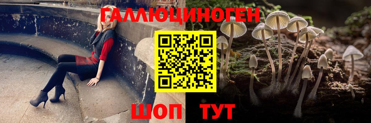 Дивногорск  Галлюциногенные грибы мицелий  Вход с VPN  Галлюциногенные грибы мухоморы 